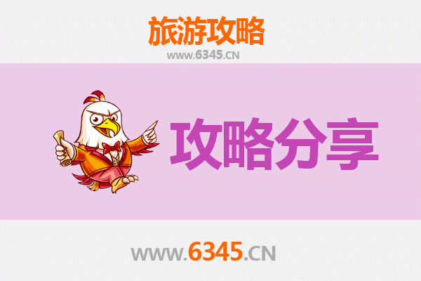 东莞东坑镇旅游攻略：跟团与自由行深度对比