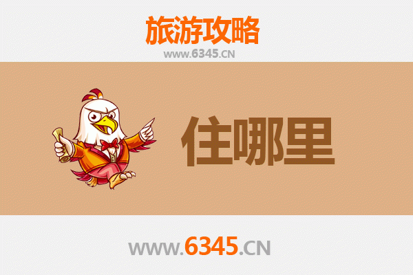 东莞东坑镇旅游民宿全攻略：沉浸式体验岭南风情与慢生活